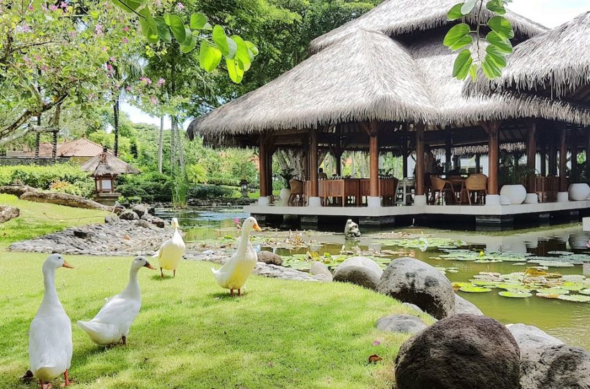  Grand Hyatt Bali, Salah Satu Hotel Tempat Warm Up PPLN