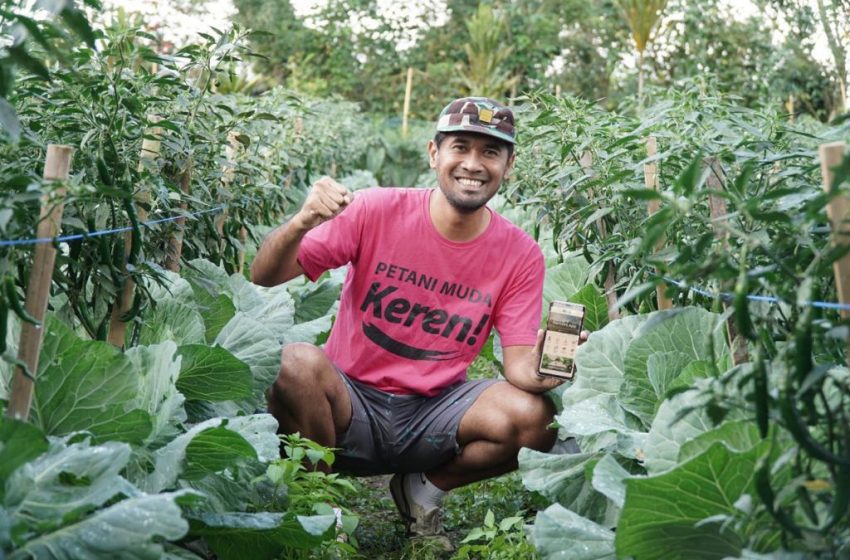  Didukung Listrik PLN, Petani Muda Ini Bawa Pertanian Bali Kian Modern