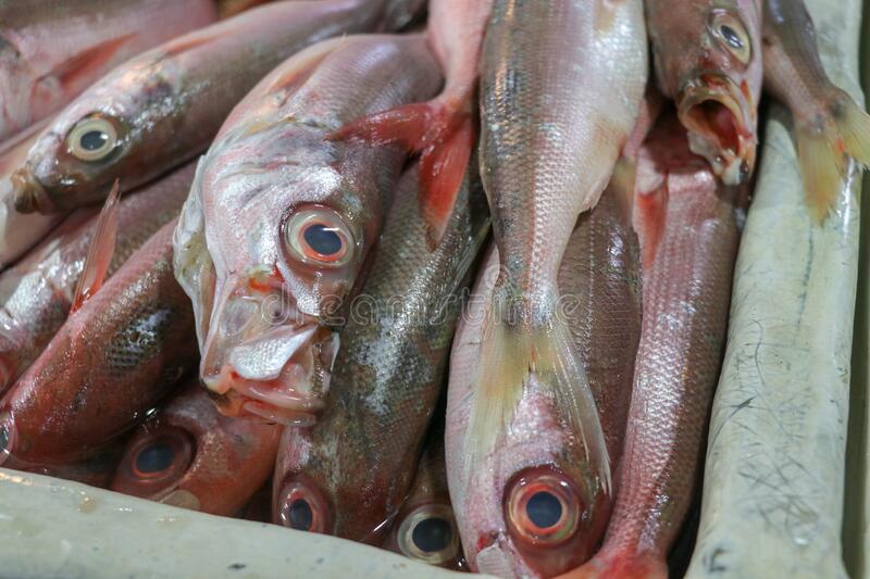  6 Fakta Pasar Ikan Kedonganan Wajib Kamu Tahu