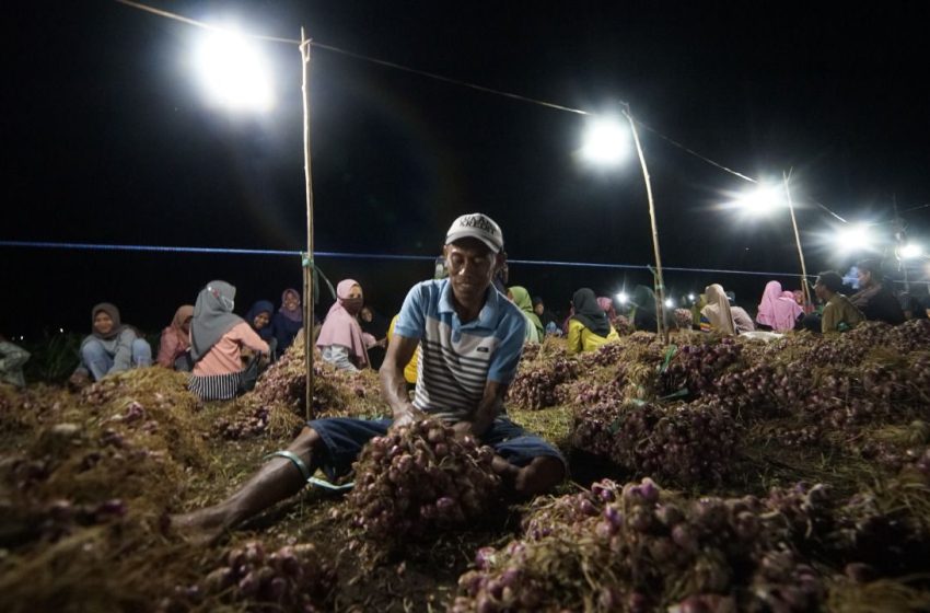  Meningkat, Keyakinan Konsumen Terhadap Ekonomi Bali Membaik