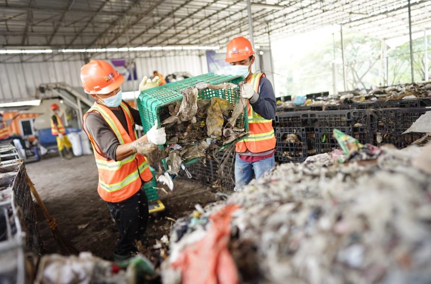  Puluhan PLTU PLN Telah Beralih ke Tenaga Biomassa