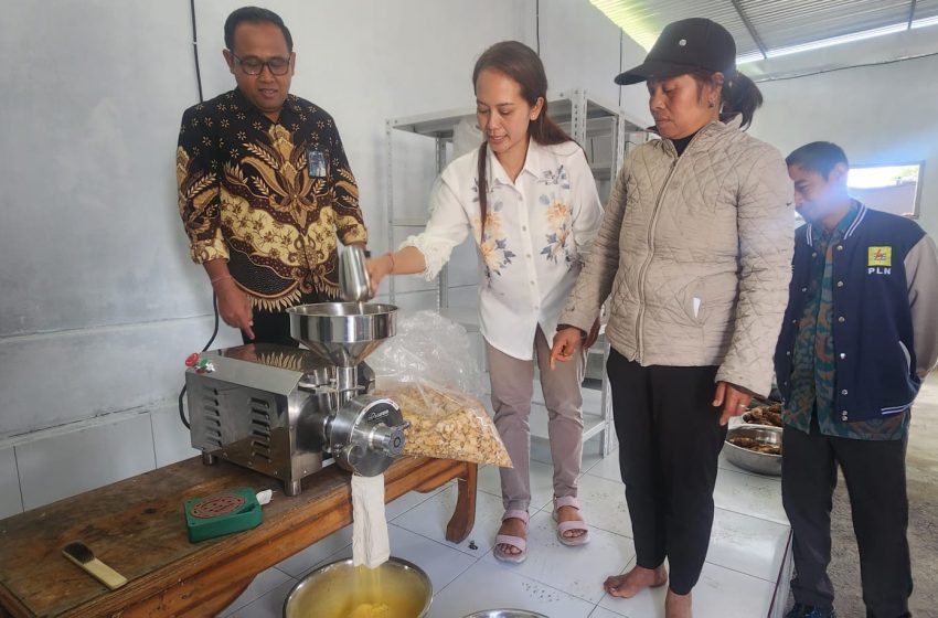  Bantuan Alat Produksi PLN Mampu Tingkatkan Produksi Tepung Non Gluten KWT Dewi Catur