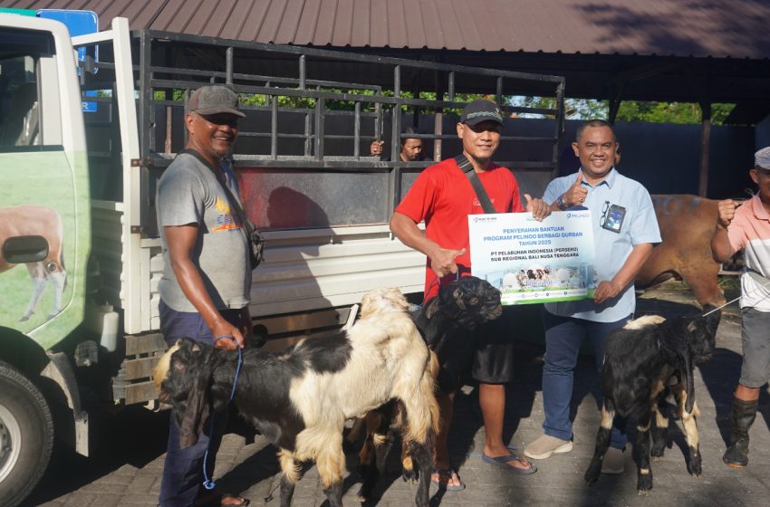  Pelindo Pelabuhan Benoa Berikan Puluhan Hewan Kurban
