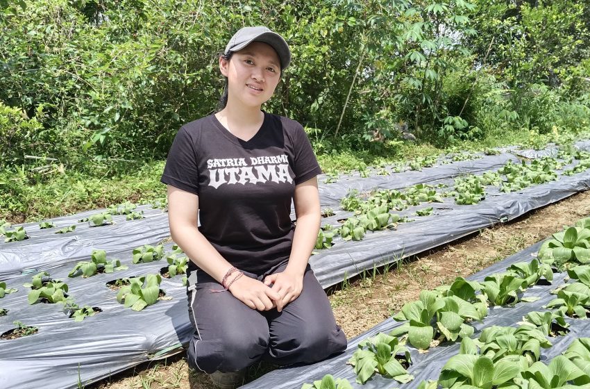  Tak Harus di Kantor, Kartini Muda Ini Pilih Sawah dan Kembangkan Usaha Lewat Aplikasi BRImo